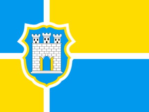 Флаги Житомирской области
