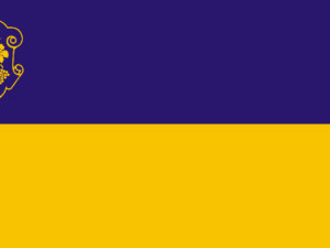 Прапори Закарпатської області