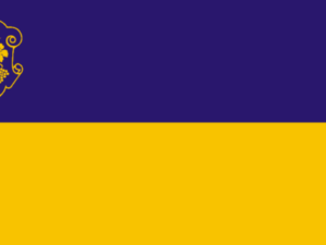Флаги Закарпатской области