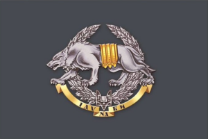Прапори Сил спеціальних операцій (ССО)