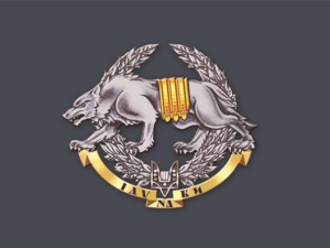 Прапори Сил спеціальних операцій (ССО)