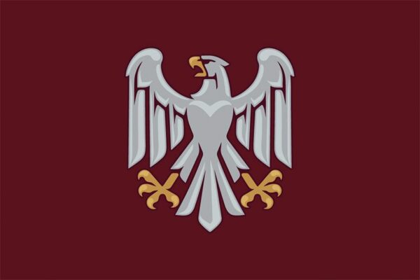 Флаг 82 отдельной десантно-штурмовой Буковинской бригады (82 ОДШБр) ДШВ ВСУ официальный