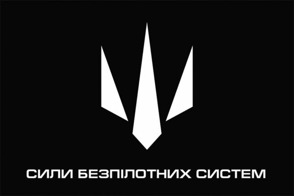 Прапор Сил безпілотних систем Збройних сил України (СБС) чорний 1