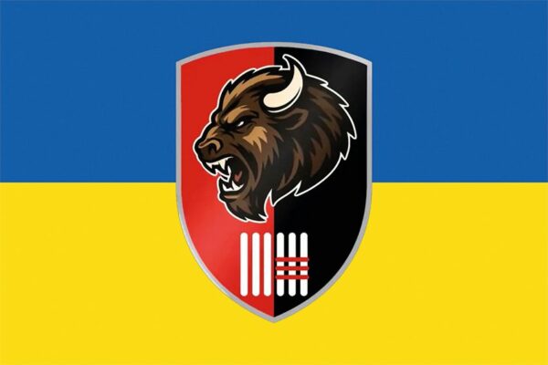 Флаг 3 механизированного батальона 63 ОМБр СВ ВСУ сине-желтый