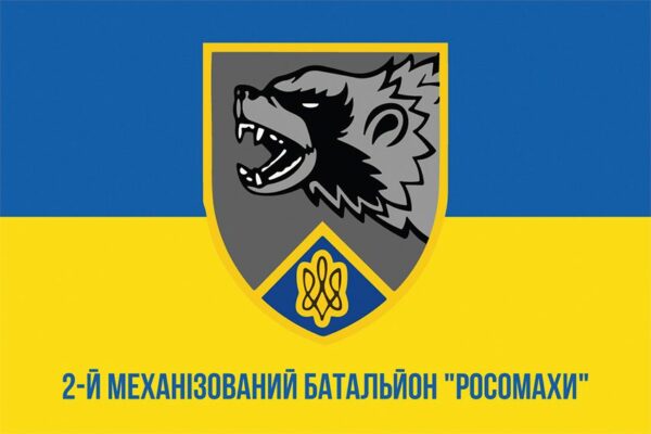 Флаг 2-й механизированный батальон "Росомахи" 67 ОМБр СВ ВСУ сине-желтый