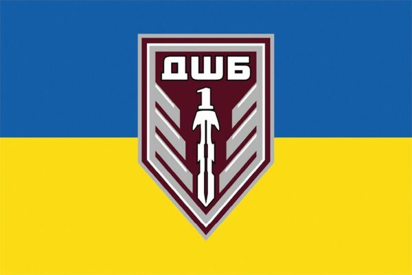 Флаг 1-й десантно-штурмовой батальон (1 ДШБ) 95 ОДШБр ДШВ ВСУ сине-желтый
