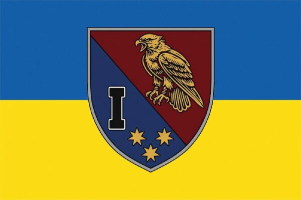 Флаг 1-й батальон 25 ОВДБр ДШВ ВСУ сине-желтый