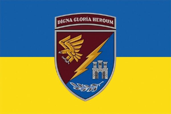 Прапор 13-й десантно-штурмовий батальйон (13 ДШБ) 95 ОДШБр ДШВ ЗСУ синьо-жовтий