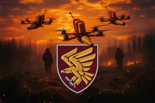 Флаг 95-я отдельная десантно-штурмовая Полесская бригада (95 ОДШБр) ДШВ ВСУ FPV дроны